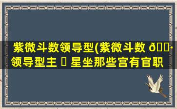 紫微斗数领导型(紫微斗数 🌷 领导型主 ☘ 星坐那些宫有官职)